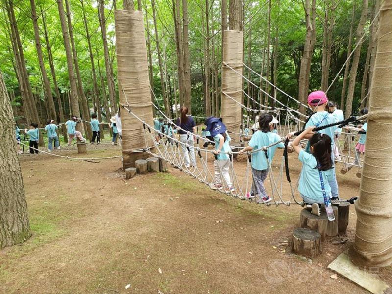 녹지과-성남시 산림복지 프로그램의 하나로 지난해 6월 산성공원에서 진행 중인 유아 숲 체험 ‘안녕 나의 친구’.jpg